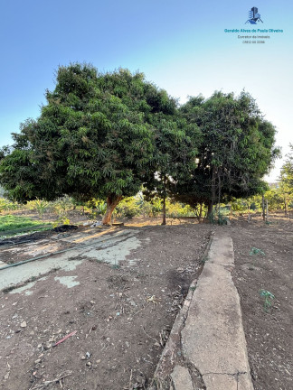 Imagem Terreno à Venda, 16.500 m² em Jardim Helvécia Complemento - Aparecida De Goiânia Imagem Terreno à Venda, 16.500 m² em Jardim Helvécia Complemento - Aparecida De Goiânia