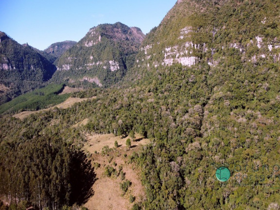 Imóvel à Venda,  em Zona Rural - Alfredo Wagner