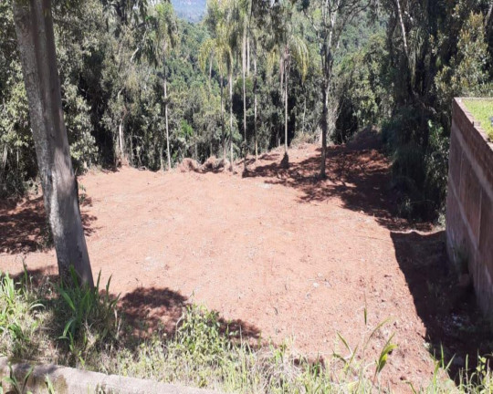 Imagem Imóvel à Venda, 1.350 m² em Pousada Da Neve - Nova Petrópolis