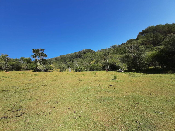 Imagem Chácara com 2 Quartos à Venda, 300 m² em Tanque Preto - Nazaré Paulista Imagem Chácara com 2 Quartos à Venda, 300 m² em Tanque Preto - Nazaré Paulista