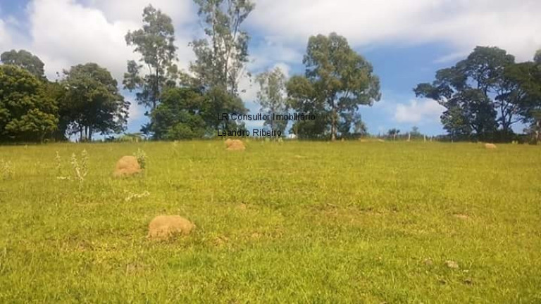 Imagem Imóvel com 6 Quartos à Venda, 350 m² em Rural - Pinhalzinho Imagem Imóvel com 6 Quartos à Venda, 350 m² em Rural - Pinhalzinho