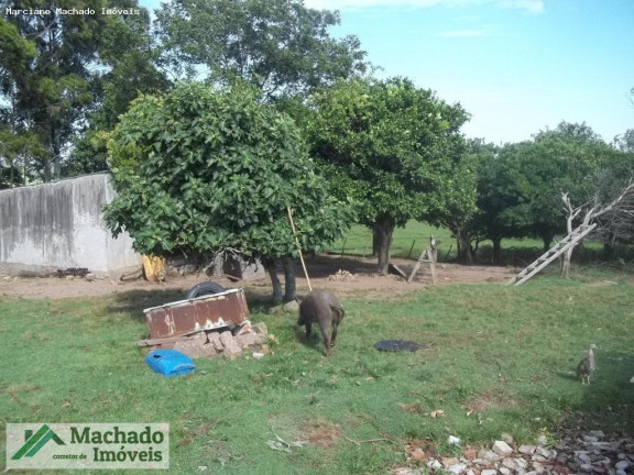 Imagem Imóvel à Venda, 200.000 m² em Rural - São Sepé Imagem Imóvel à Venda, 200.000 m² em Rural - São Sepé