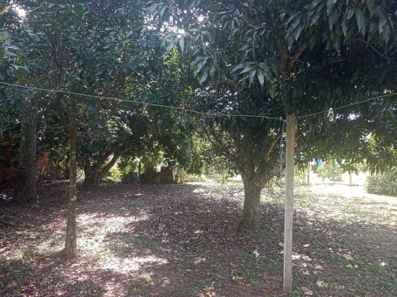 Imagem Casa com 2 Quartos à Venda, 1.005 m² em águas Claras - Viamão