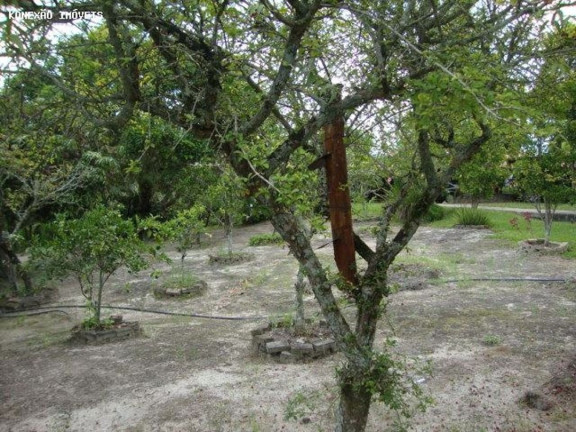 Imagem Chácara com 3 Quartos à Venda, 33.000 m² em Centro - Paraibuna Imagem Chácara com 3 Quartos à Venda, 33.000 m² em Centro - Paraibuna