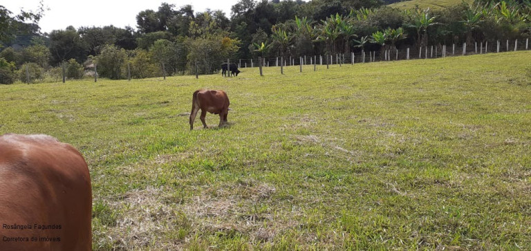 Imagem Imóvel à Venda, 10.000 m² em Centro - Campestre Imagem Imóvel à Venda, 10.000 m² em Centro - Campestre