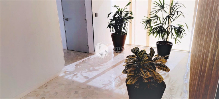 Imagem Apartamento com 2 Quartos à Venda, 59 m² em Perdizes - São Paulo