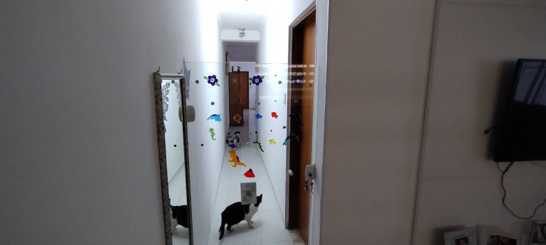 Imagem Casa com 2 Quartos à Venda, 162 m² em Jardim Das Rosas (zona Leste) - São Paulo Imagem Casa com 2 Quartos à Venda, 162 m² em Jardim Das Rosas (zona Leste) - São Paulo
