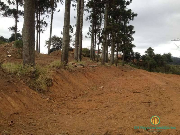 Imagem Terreno à Venda, 2.742 m² em Jardim Sandra - Cotia Imagem Terreno à Venda, 2.742 m² em Jardim Sandra - Cotia