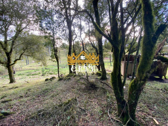 Imagem Imóvel à Venda, 20 m² em Serra Grande - Igrejinha Imagem Imóvel à Venda, 20 m² em Serra Grande - Igrejinha