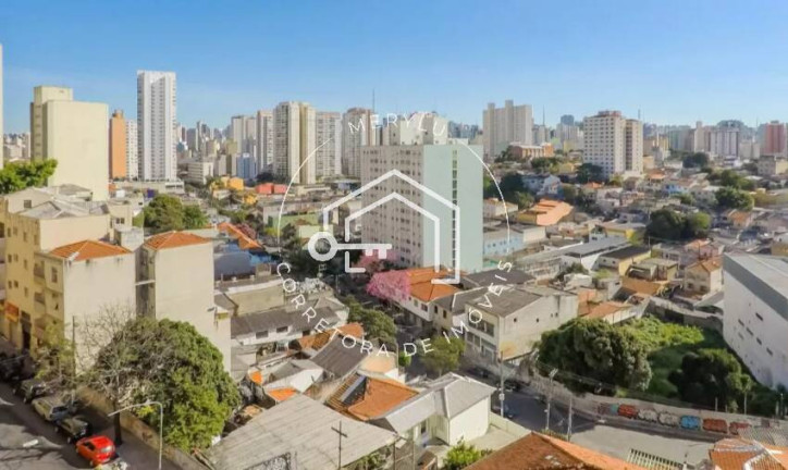 Imagem Apartamento com 3 Quartos à Venda, 98 m² em Cambuci - São Paulo Imagem Apartamento com 3 Quartos à Venda, 98 m² em Cambuci - São Paulo