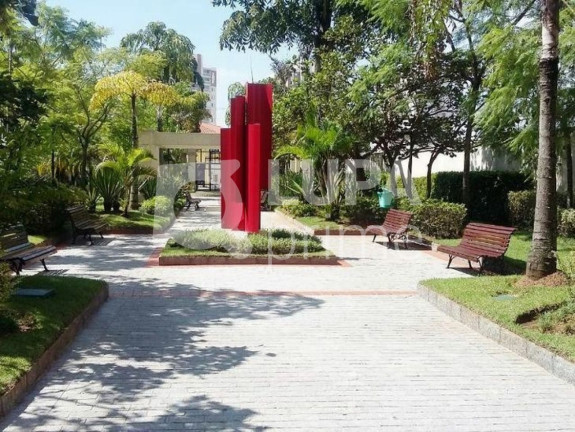 Imagem Apartamento com 3 Quartos à Venda, 69 m² em Lauzane Paulista - São Paulo Imagem Apartamento com 3 Quartos à Venda, 69 m² em Lauzane Paulista - São Paulo
