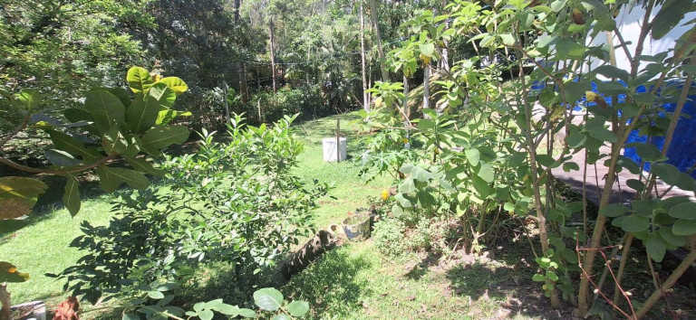 Imagem Chácara com 5 Quartos à Venda, 180 m² em Pedro De Toledo