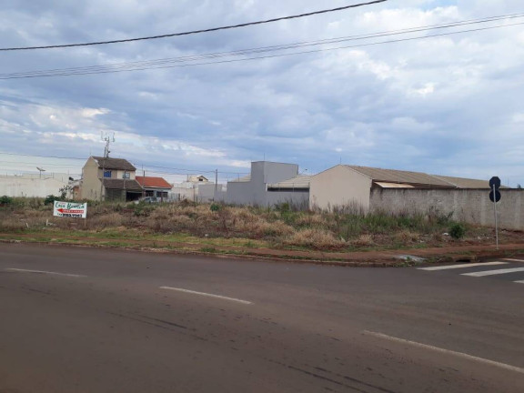 Terreno à Venda,  em Jardim Paulista Ii - Arapongas