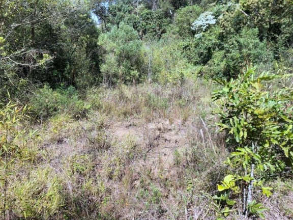 Imagem Terreno à Venda, 5.017 m² em Chácara Das Candeias - Carapicuíba Imagem Terreno à Venda, 5.017 m² em Chácara Das Candeias - Carapicuíba