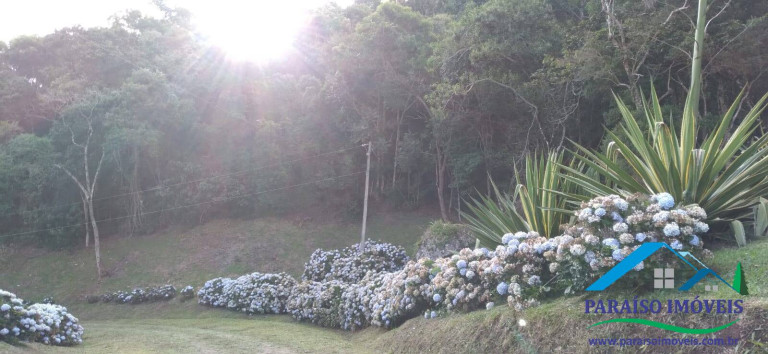 Imagem Chácara com 1 Quarto à Venda, 29 m² em Centro - Paraisópolis