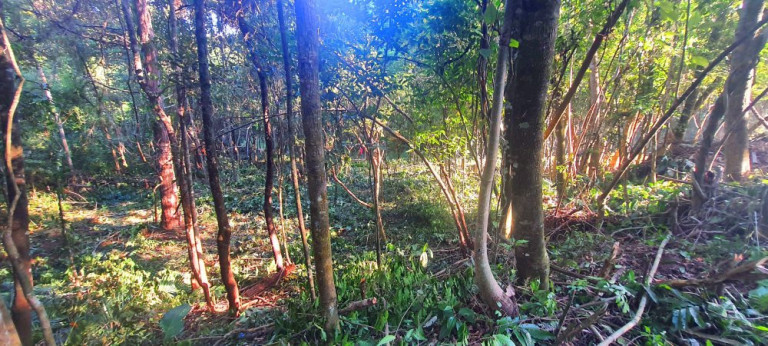 Imagem Imóvel à Venda, 282 m² em Loteamento Bosque Dos Palmares - Atibaia Imagem Imóvel à Venda, 282 m² em Loteamento Bosque Dos Palmares - Atibaia
