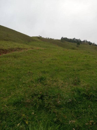 Imagem Chácara com 2 Quartos à Venda, 302.500 m² em Centro - Taubaté Imagem Chácara com 2 Quartos à Venda, 302.500 m² em Centro - Taubaté