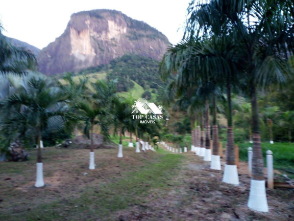 Imagem Fazenda à Venda, 96.000 m² em Serra Da Cruz - Macaé Imagem Fazenda à Venda, 96.000 m² em Serra Da Cruz - Macaé