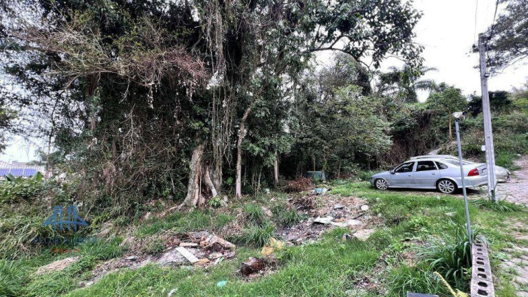 Imagem Terreno à Venda, 13.177 m² em Canasvieiras - Florianópolis Imagem Terreno à Venda, 13.177 m² em Canasvieiras - Florianópolis
