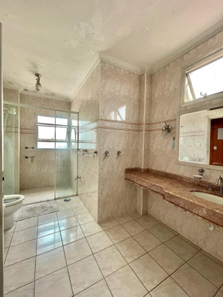 Imagem Cobertura com 3 Quartos à Venda, 270 m² em Cambuci - São Paulo