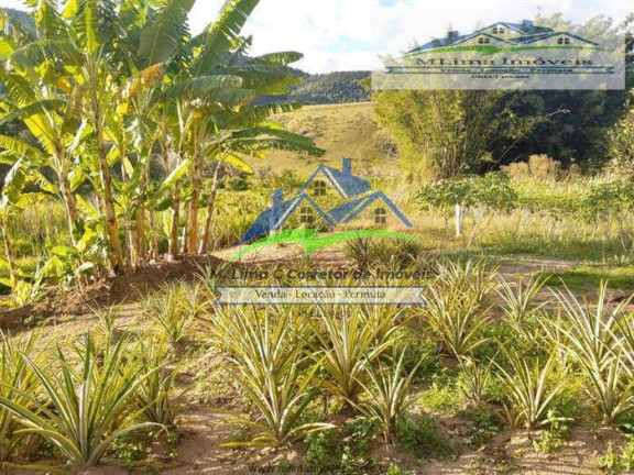 Imagem Chácara com 2 Quartos à Venda, 29.000 m² em Bairro Do Agudo - Bragança Paulista Imagem Chácara com 2 Quartos à Venda, 29.000 m² em Bairro Do Agudo - Bragança Paulista
