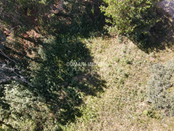 Imagem Terreno à Venda, 1.215 m² em Região Do Alto Da Boa Vista - Campos Do Jordão Imagem Terreno à Venda, 1.215 m² em Região Do Alto Da Boa Vista - Campos Do Jordão