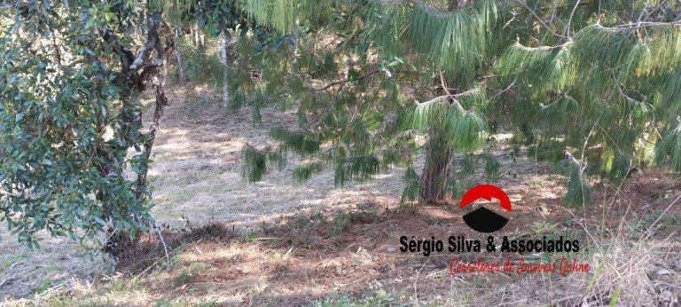 Imagem Terreno à Venda, 1 m² em Campos Do Jordão Imagem Terreno à Venda, 1 m² em Campos Do Jordão
