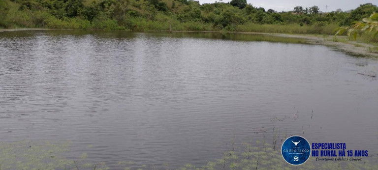 Imagem Fazenda à Venda, 456 m² em Zona Rural - Ananás Imagem Fazenda à Venda, 456 m² em Zona Rural - Ananás