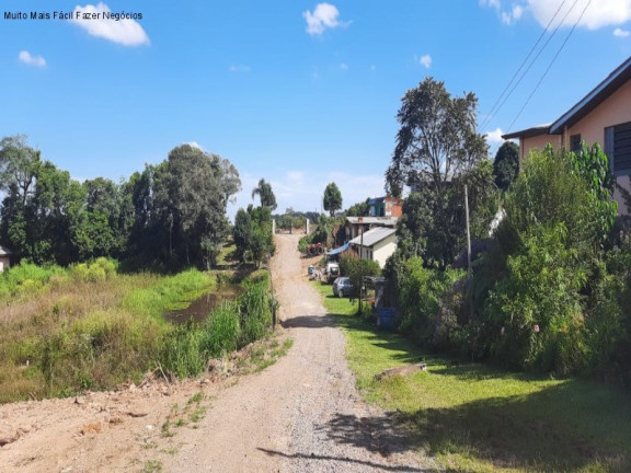 Imagem Terreno à Venda, 494 m² em Linha Olinda - Nova Petrópolis