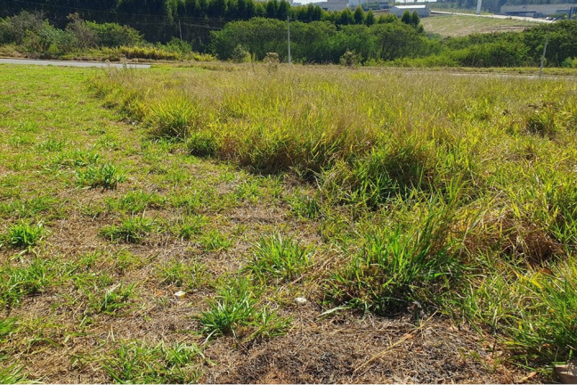 Imagem Terreno à Venda, 250 m² em Jardim San Rafael - Salto De Pirapora Imagem Terreno à Venda, 250 m² em Jardim San Rafael - Salto De Pirapora