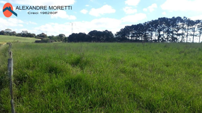 Imagem Chácara à Venda, 1.000 m² em Cercado - Araçoiaba Da Serra Imagem Chácara à Venda, 1.000 m² em Cercado - Araçoiaba Da Serra