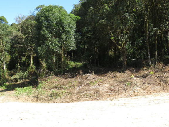 Imagem Terreno à Venda, 36.260 m² em Colonia Murici - São José Dos Pinhais Imagem Terreno à Venda, 36.260 m² em Colonia Murici - São José Dos Pinhais