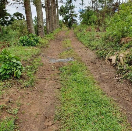 Imagem Imóvel com 3 Quartos à Venda,  em Tijucas Do Sul - Tijucas Do Sul