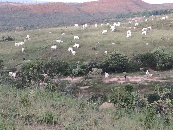 Imagem Fazenda à Venda, 63 m² em Zona Rural - Abadiânia Imagem Fazenda à Venda, 63 m² em Zona Rural - Abadiânia