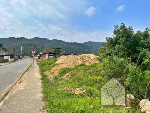 Imagem Terreno à Venda, 2.458 m² em Vargem Grande - Florianópolis