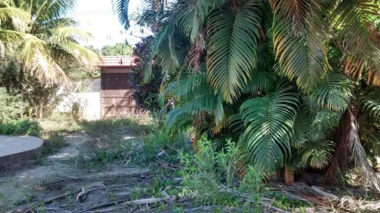 Imagem Imóvel com 5 Quartos para Alugar, 2.000 m² em Guaratiba - Rio De Janeiro