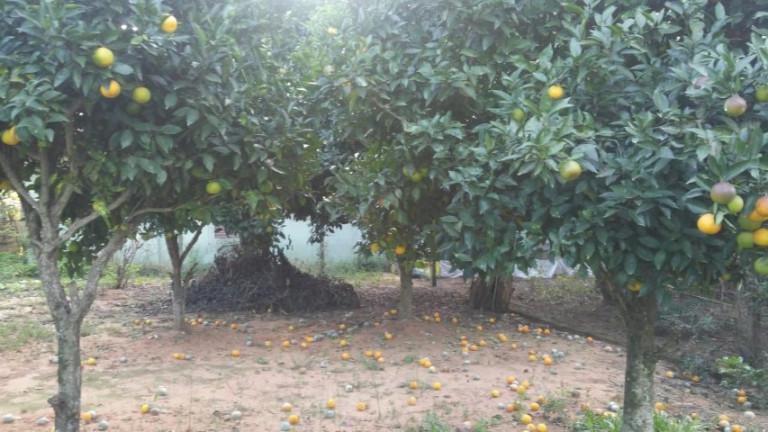 Imagem Casa com 2 Quartos à Venda, 600 m² em águas Claras - Viamão