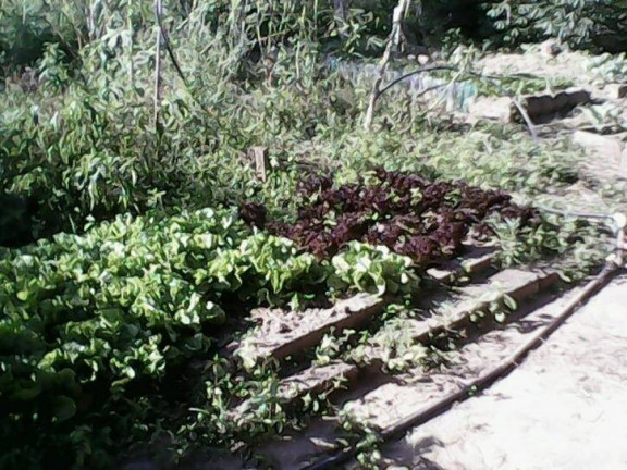 Imagem Chácara com 4 Quartos à Venda, 7 m² em Caxambú - Jundiaí Imagem Chácara com 4 Quartos à Venda, 7 m² em Caxambú - Jundiaí
