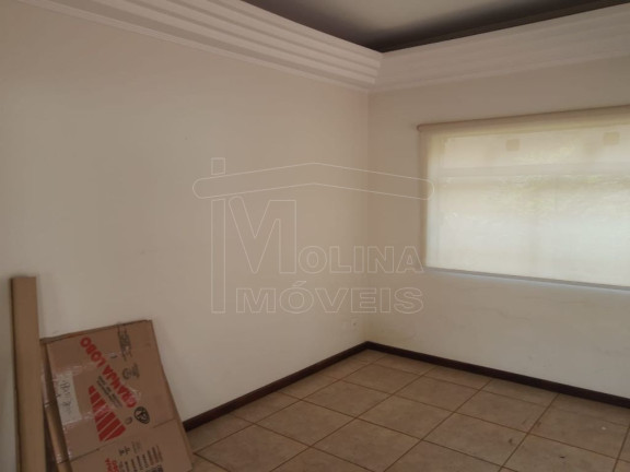 Imagem Casa com 4 Quartos para Alugar, em Jardim Primavera - Araraquara Imagem Casa com 4 Quartos para Alugar, em Jardim Primavera - Araraquara