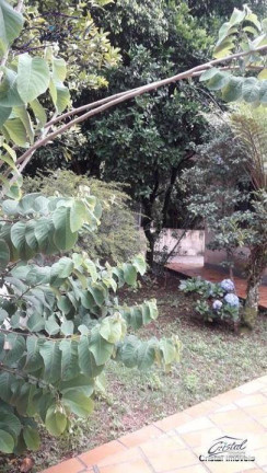 Imagem Terreno à Venda, 10.560 m² em Granja Viana - Cotia Imagem Terreno à Venda, 10.560 m² em Granja Viana - Cotia