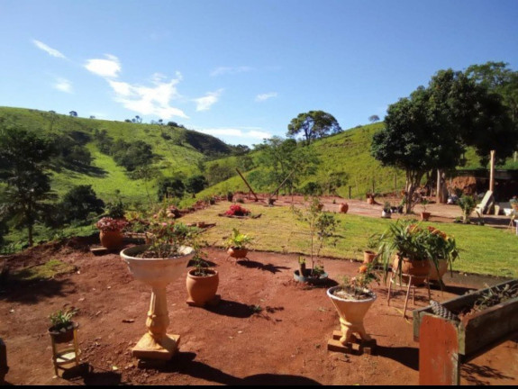 Imagem Chácara com 3 Quartos à Venda, 75.200 m² em Bosque Da Saúde - Taubaté