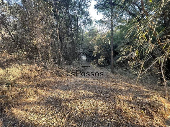 Imagem Chácara à Venda, 20.000 m² em Valentim - Florestal Imagem Chácara à Venda, 20.000 m² em Valentim - Florestal