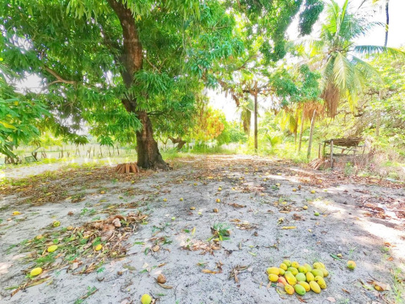 Imagem Terreno à Venda, 6.525 m² Imagem Terreno à Venda, 6.525 m²