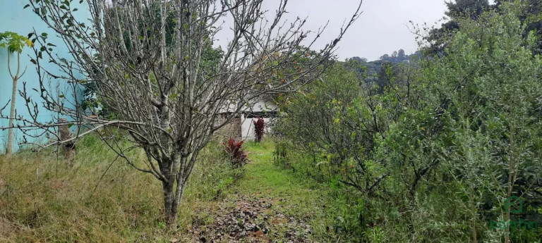 Imagem Casa com 3 Quartos à Venda, 300 m² em Vila Nova - Porto Alegre