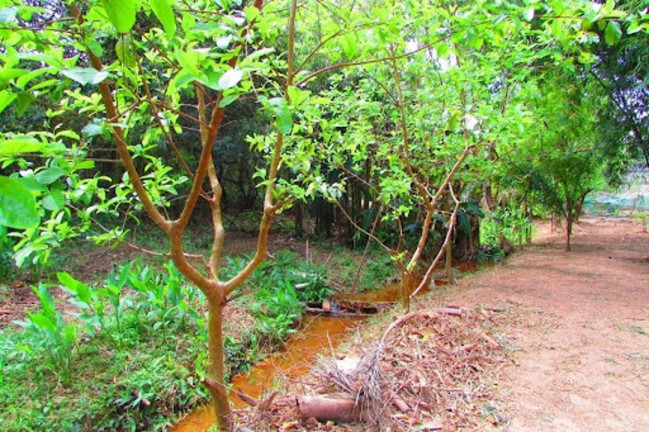Imagem Imóvel à Venda, 3.534 m² em Nova Gardênia - Atibaia Imagem Imóvel à Venda, 3.534 m² em Nova Gardênia - Atibaia