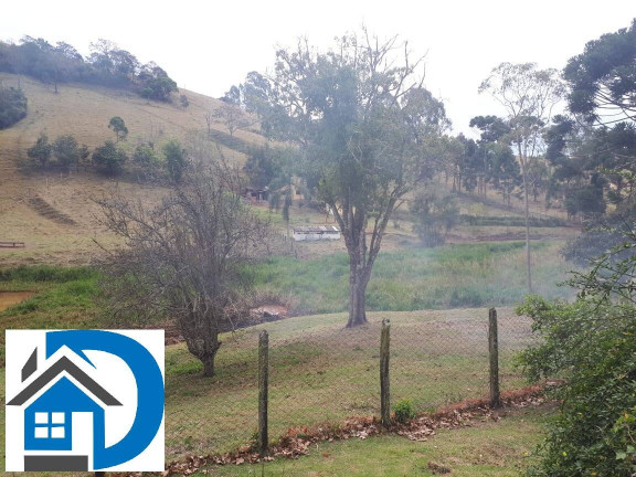 Imagem Chácara com 4 Quartos à Venda, 200 m² em Rural - Itapeva Imagem Chácara com 4 Quartos à Venda, 200 m² em Rural - Itapeva