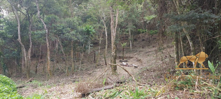 Imagem Terreno à Venda, 1.050 m² em Alto Da Boa Vista - Campos Do Jordão Imagem Terreno à Venda, 1.050 m² em Alto Da Boa Vista - Campos Do Jordão