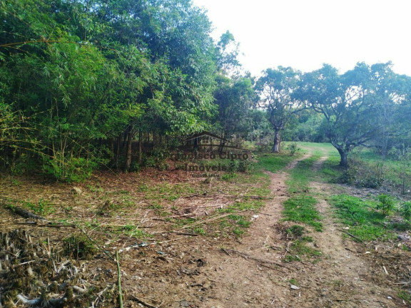 Imagem Terreno à Venda, 5.000 m² em Bom Jardim I - Guaratinguetá Imagem Terreno à Venda, 5.000 m² em Bom Jardim I - Guaratinguetá