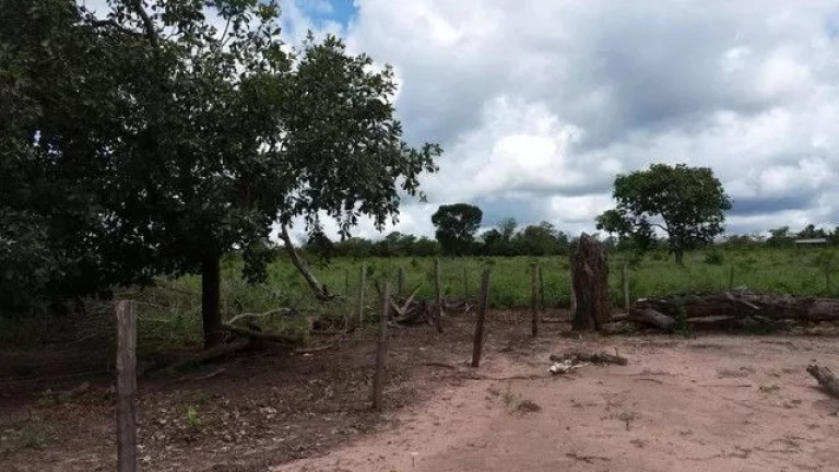 Imagem Fazenda à Venda, 500 m² em Zona Rural - Paranatinga