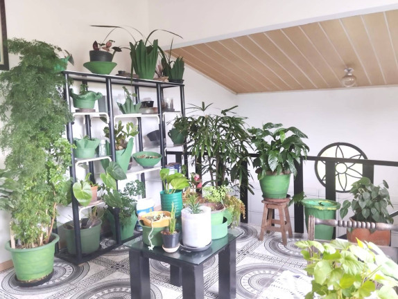 Imagem Casa com 4 Quartos à Venda, em Porto Do Ribeira - Iguape Imagem Casa com 4 Quartos à Venda, em Porto Do Ribeira - Iguape